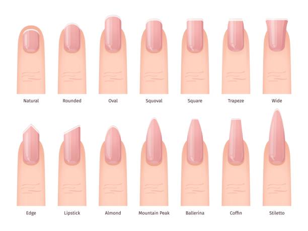 Popular Nail Shapes and What They Say About Your Style